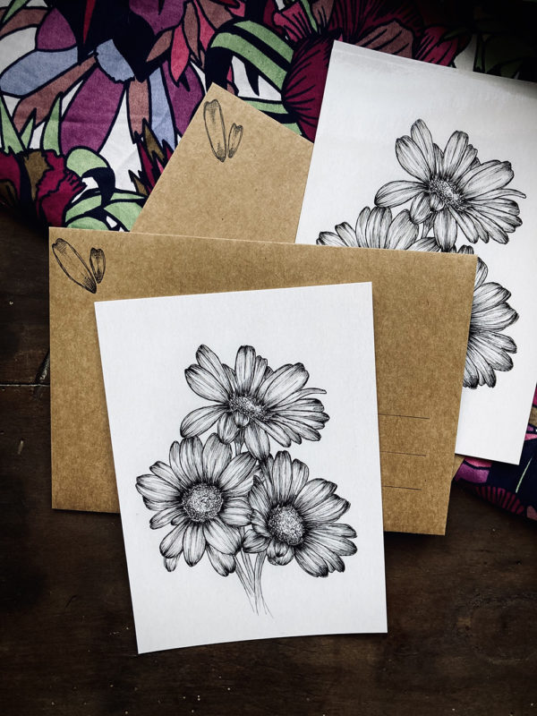 Carte Postale - Leucanthemum Zulgare